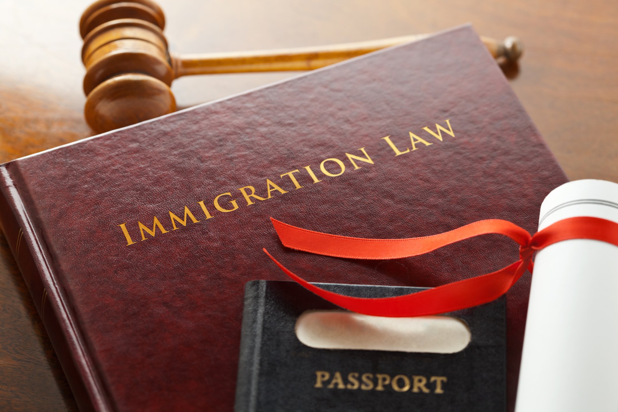 support of immigration lawyer